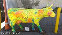 cow ups01