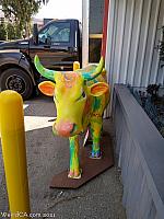 cow ups19