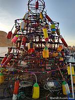 crabpot christmas55