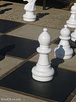 chess06