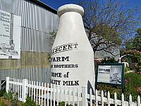 Giant Milk Bottle