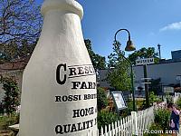 milkbottle15