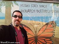butterfly grove13