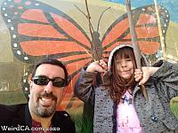 butterfly grove14