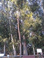 butterfly grove36
