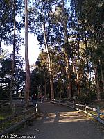 butterfly grove44