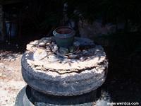 HPIM0259