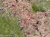 rinconada mine030