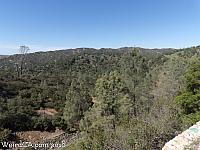 rinconada mine033