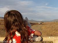 Tiffany checking out the Zebras