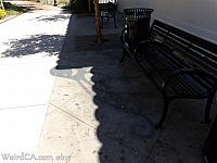 shadow art054