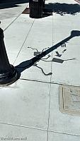 shadow art157