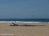 dunes18