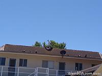 solvang046