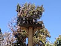 frontier birdhouses10