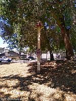 frontier birdhouses19