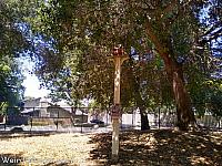 frontier birdhouses20