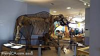 lupe mammoth31