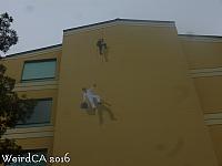 Robbers Mishap