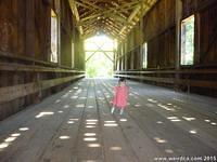 Tiffany crossing the Felton Covered Bridge