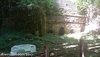 santa cruz03
