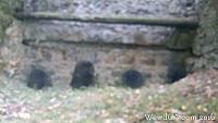 sc kilns20