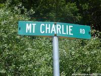 Mountain Charlie