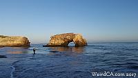 Natural Bridges State Beach