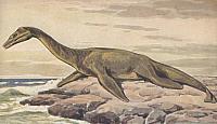 Pleisosaur, drawn by Heinrich Harder, photo public domain