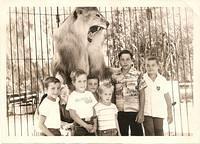 Jungleland