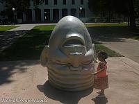 An Egghead at UC Davis