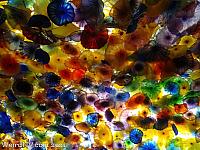 bellagio001