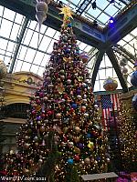 bellagio52