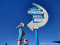 blue angel12