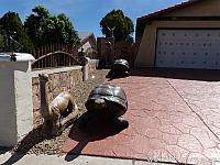 dinosaurhouse02