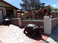 dinosaurhouse03