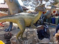 dinosaurhouse10