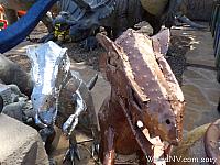 dinosaurhouse18