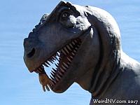 dinosaurhouse21