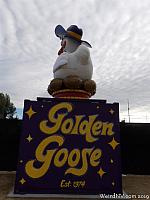 golden goose03
