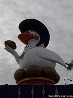 golden goose05