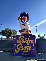 golden goose12