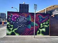 Butterflies at Container Park