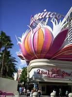 The Flamingo on Las Vegas Boulevard