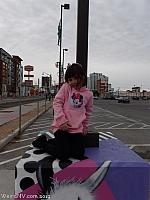 llamaparking08