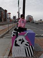 llamaparking09