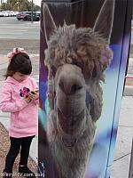 llamaparking17