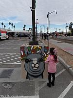 llamaparking26