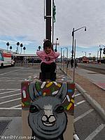 llamaparking31