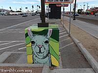 llamaparking52